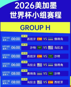 全场回放界面