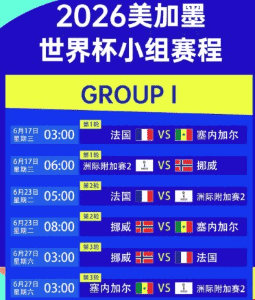 精彩集锦片段